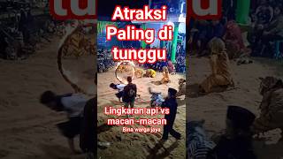 macan-macan binawarga jaya vs lingkaran api #tvngantang6