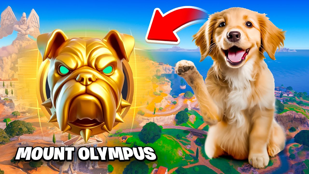 I Let My DOG Choose My Medallion!