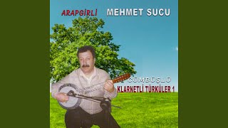 Haydide Yazmalı Gelin