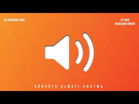 Bilge Adam Reis Ben Normal Değilim | Ses Efekti