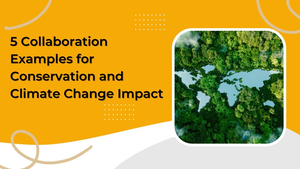 5 Cross-Sector Collaboration Examples for Conservation and Climate ...