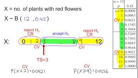 S2 - Hypothesis Testing - The Population Proportion p, using a Binomial Distribution - Example 3