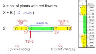 S2 - Hypothesis Testing - The Population Proportion p, using a Binomial Distribution - Example 3