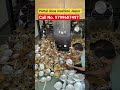 pattal dona ka business kaise kare//dona pattal machine Jaipur//pattal dona machine Jaipur