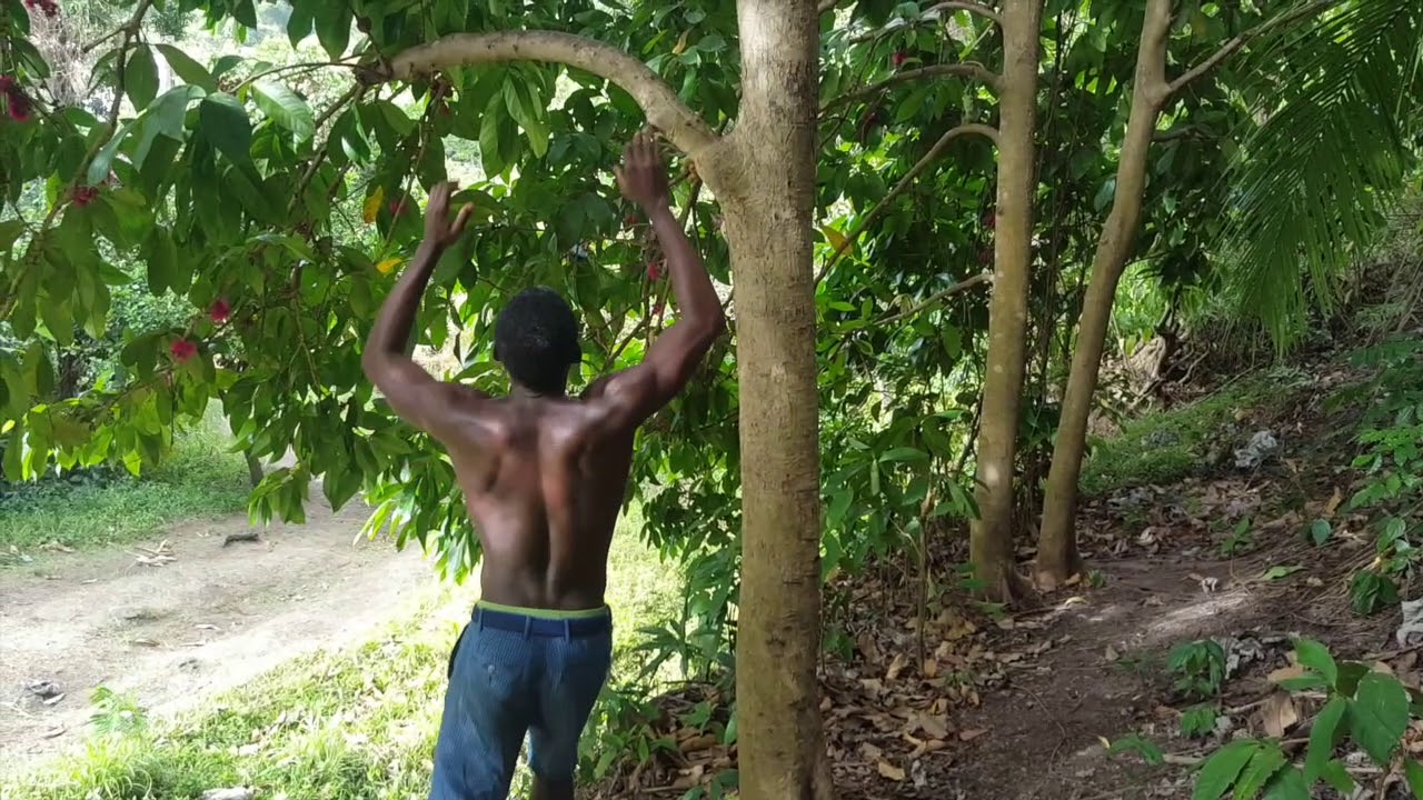 Hunting For Food YouTube