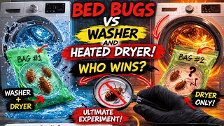 Bed Bugs vs. Washer & Heated Dryer: Who Wins? 😱🪳 Bed Bugs Can They Survive A Washing Machine Cycle