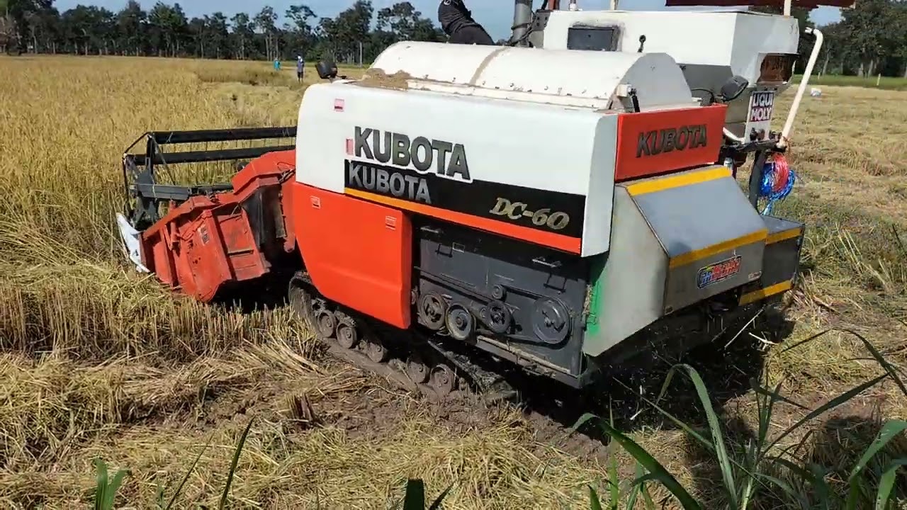 รถเกี่ยวข้าว คูโบต้า DC60 ใส่เกลียวดันเลส