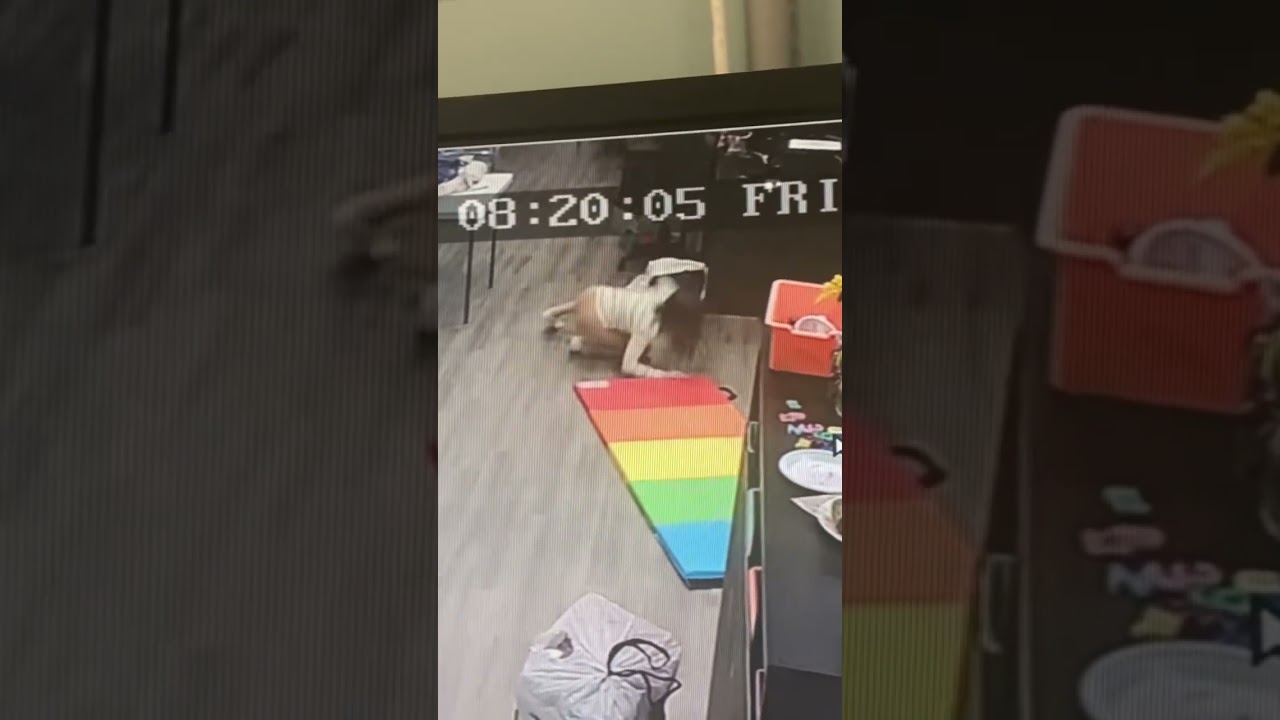 This hurt so bad!!😭🤣 