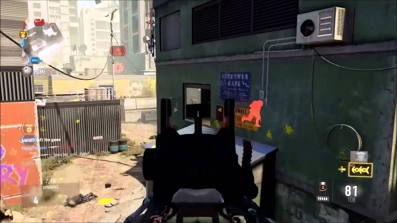 Customization in Call of Duty (Ameli DNA)