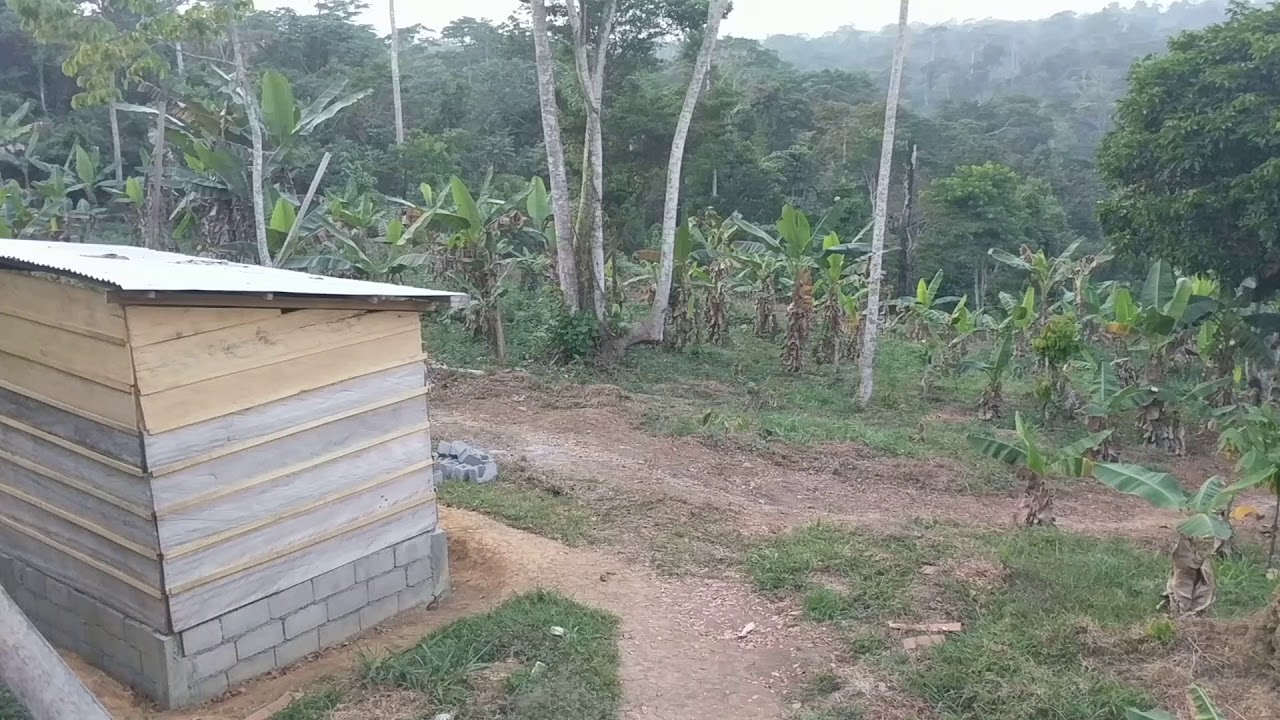 Video Agritech Farm - Food Lab Mbankomo