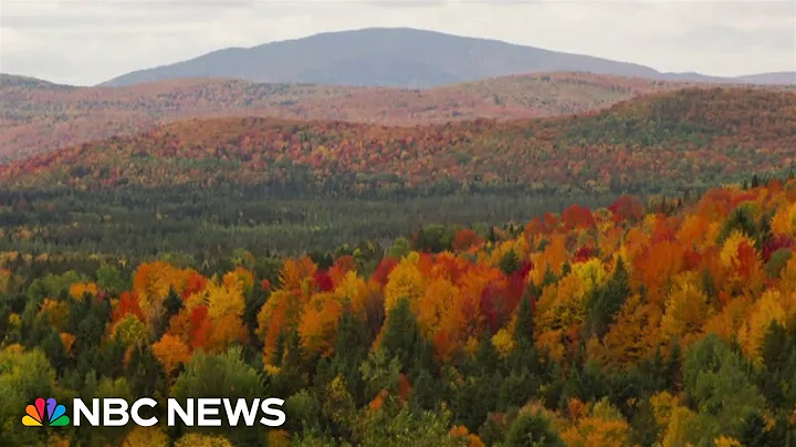 Forecasting the best fall foliage viewing days in New England