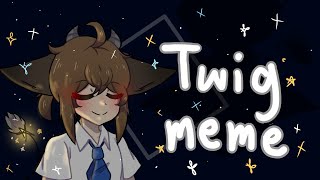 Twig✡ meme|flash/blood warning