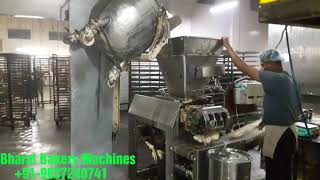 Automatic Rusk Plant
