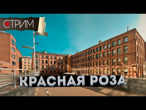Хамовники: от 8 марта к Масленице – СТРИМ
