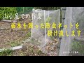 [山小屋での作業]　苗木を囲った防虫ネットを掛け直します　[庭いじり]