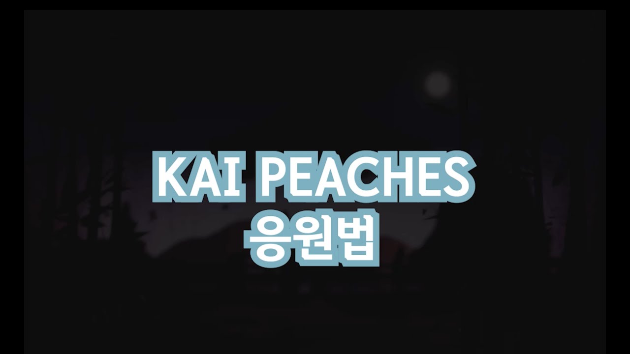카이 (KAI) Peaches 응원법 Fan chant YouTube