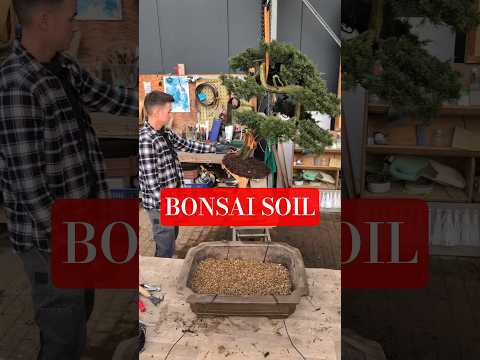 Video Bonsai Soil: basic substrate components I often use for bonsai trees