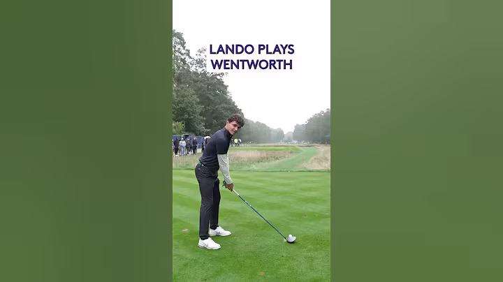 Lando Norris 4 hole in 40 seconds (ish) 👌