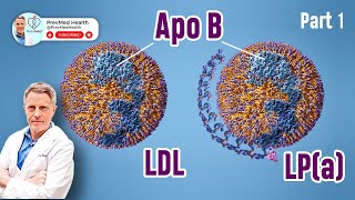 ApoB, LDL and Lpa: My Perspective (Part 1)