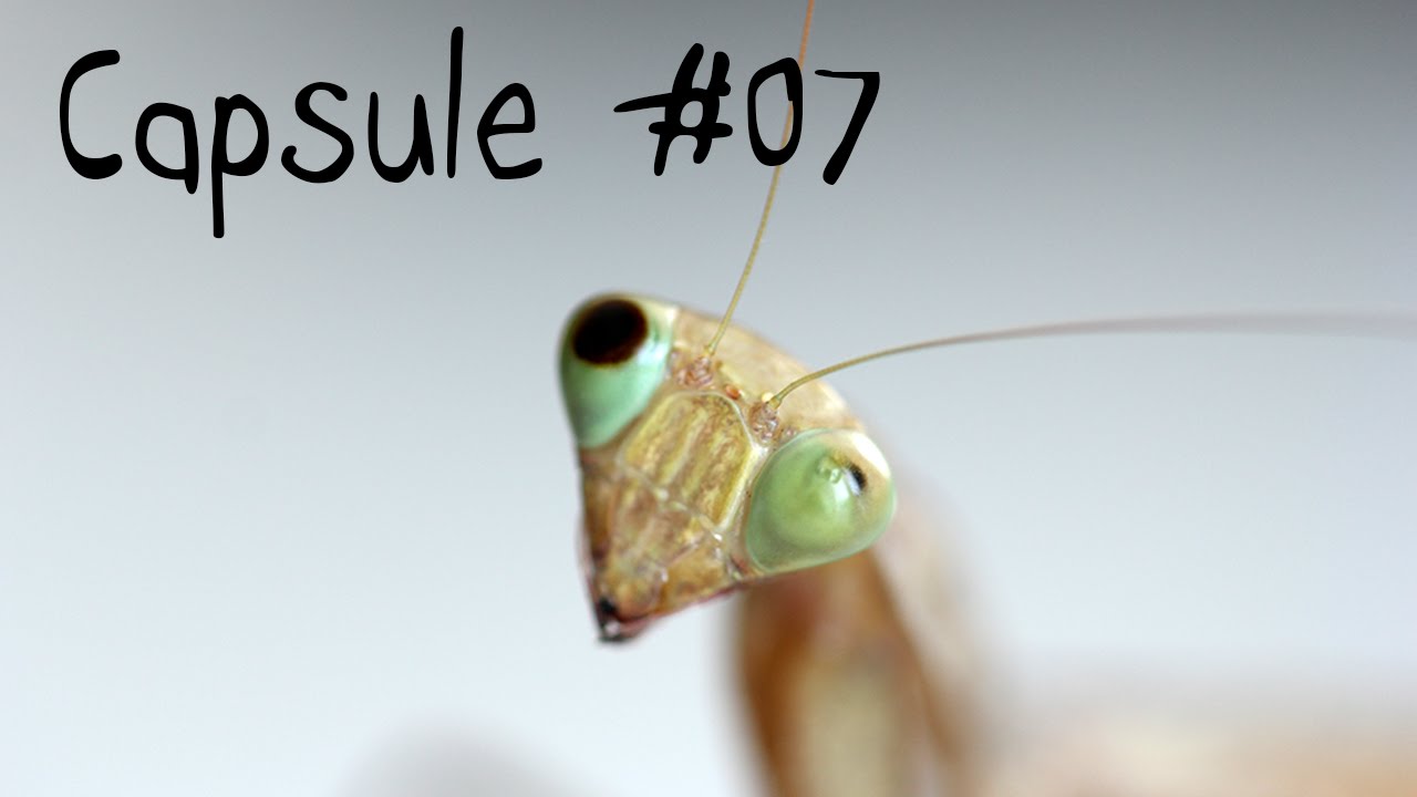 Capsule 07 Une Priere Avant Le Repas Youtube