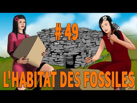 2019 - #49 - THE HABITAT OF FOSSILS - SURPRISE
