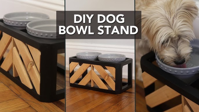 The 10 Best Elevated Dog Bowls of 2024