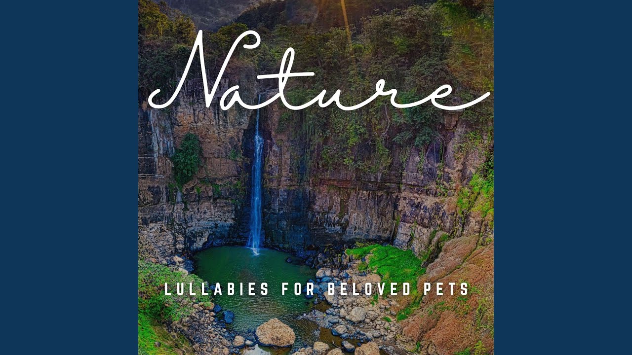 Harmony with My Beloved Pet Paws