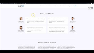 Creatink WordPress Theme - Clients and Testimonials Overview