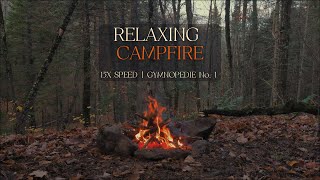Fast Campfire Timelapse + Gymnopédie No.1 | 4 Minutes of Relaxing Minimalism