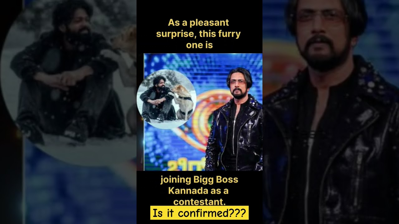 Charlie in bigg boss season 10 