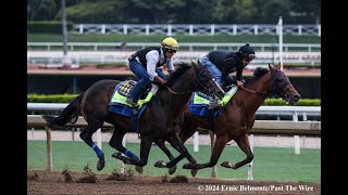 The Preakness by the Thorograph Numbers and Patterns