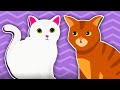 Learn all about cats  animal nursery rhymes  songs for kids  kids learnings