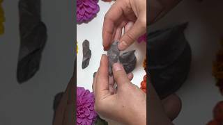 DIY how to make polymer clay cookies? #diy #how #shortvideo