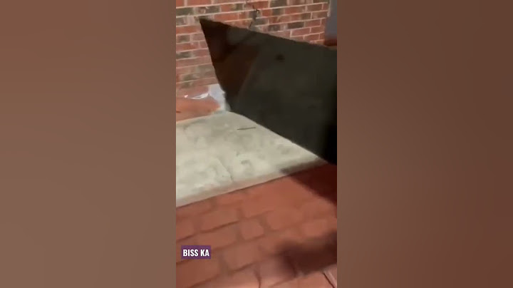 الصدمة كانت قوية
