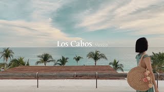 小被儿➕勾勾儿 | 墨西哥Los Cabos蜜月行 | 去热带的岛屿游泳吧