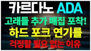 카르다노 에이다 고래들 추가 매집 포착! 바실 하드 포크 연기를 걱정할 필요 없는 이유