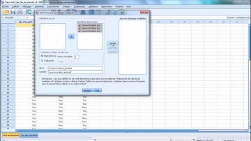 Formation SPSS : Analyse d