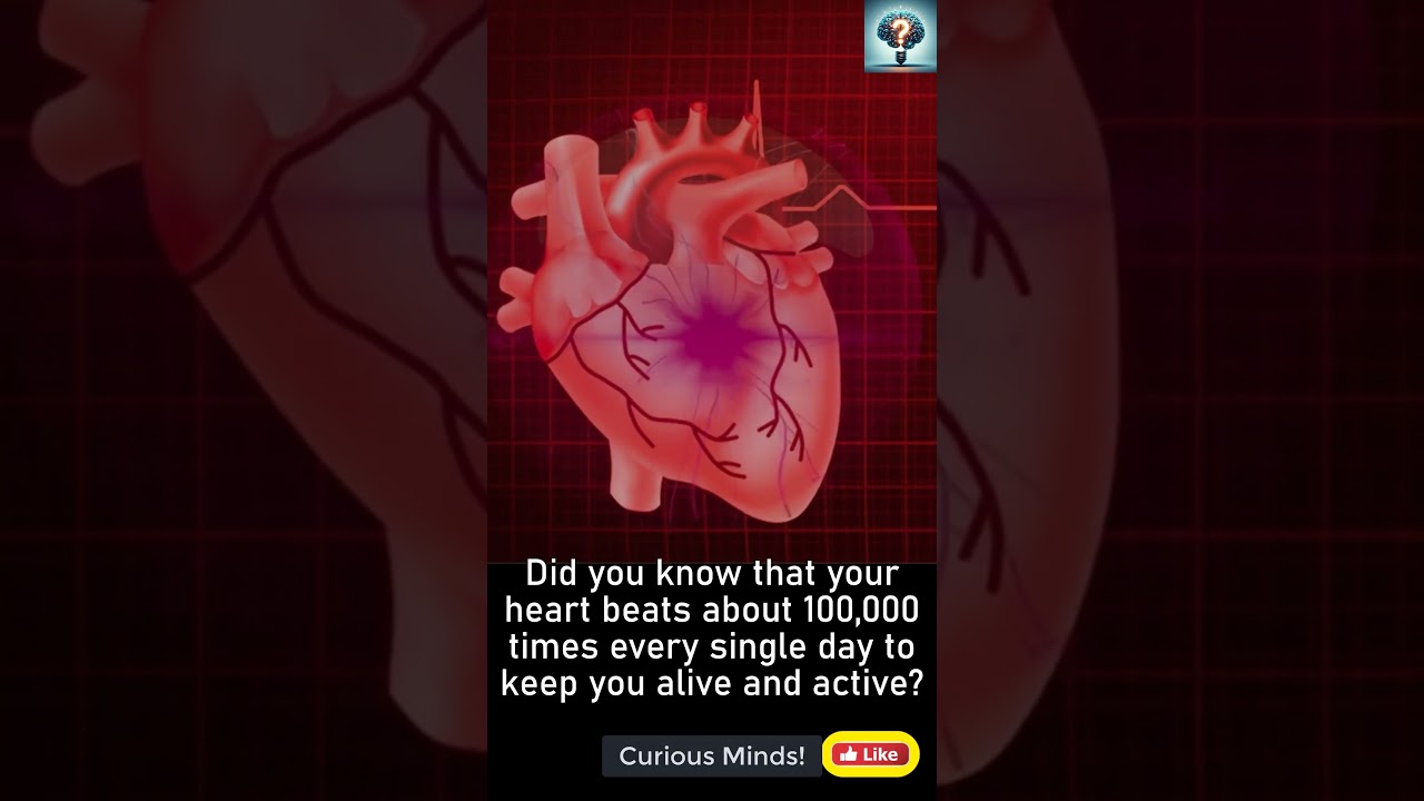 Did You Know Your Heart Beats 100,000 Times a Day? | Amazing Human Body Fact