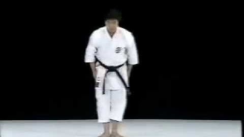 Gojushiho Shito Ryu