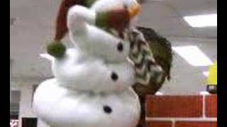 Video from My Phone for January 11, 2008, 01:37 PM
