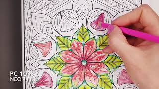 Jade Summer 100 Amazing Patterns: An Adult Coloring Book with Fun, Easy, and Relaxing Coloring Pages