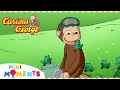 George learns about Tadpoles 🐸 | Curious George  | Mini Moments