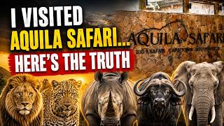 I VISITED AQUILA SAFARI… HERE’S THE TRUTH || CAPE TOWN - SOUTH AFRICA