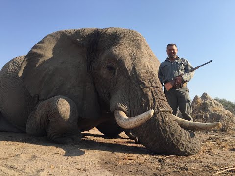 🎙Часть 1 | Охота в Африке глазами Игоря Рогова | Слон - самый опасный трофей