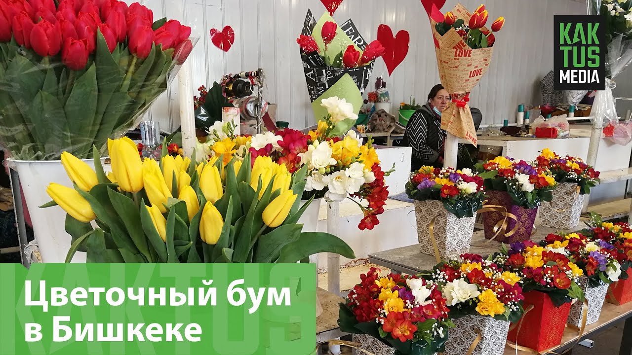 Улицы Бишкека перед 8 Марта напоминают цветочные бульвары