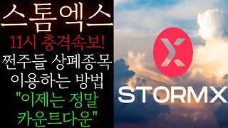 📕[스톰엑스] 긴급! 쩐주들 상폐종목 이용하는 방법 &quot;이제는 정말 카운트다운&quot; 영상 하나로 작전패턴 종결 합니다 앞으로 이렇게 전략을 준비하세요! #스톰엑스목표가 #스톰엑스대응