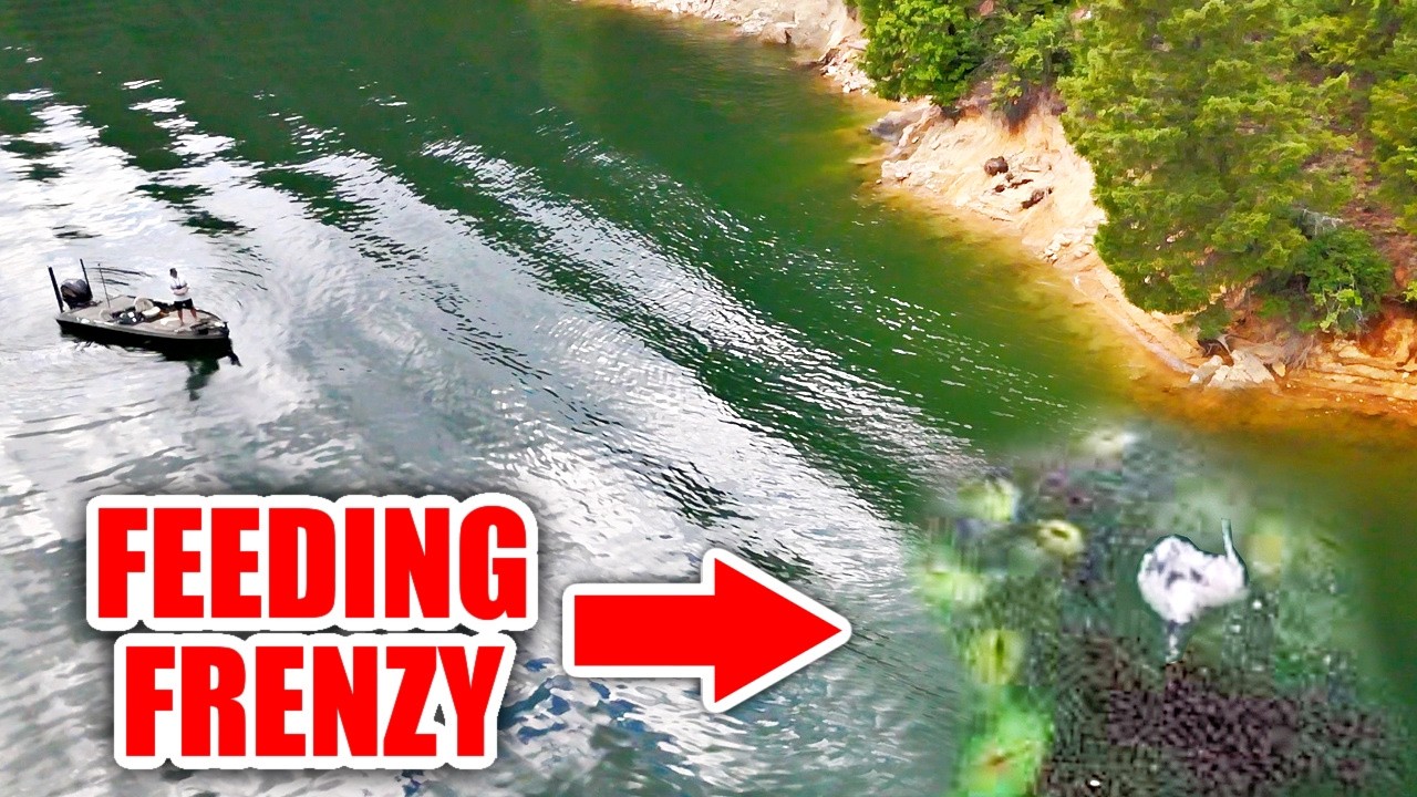 In 35 Years of Fishing I've NEVER Experienced anything like THIS!