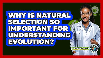 Why Is Natural Selection So Important For Understanding Evolution? - Earth Science Answers