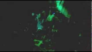 SACRIMEN - Loco Pro (cover A.N.I.M.A.L.)