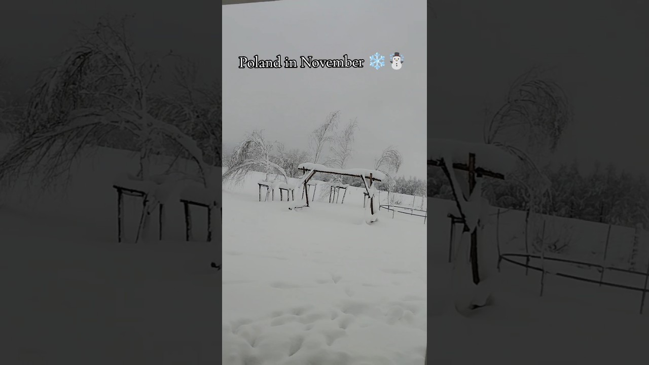 Clases Profesionales De Guitarra Eléctrica Y Música - videos